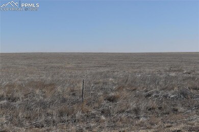 View of local wilderness with a rural view