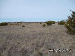 759 Hempel Dr, Copperas Cove, TX 76522 - photo 7