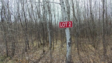 Lot 2 Minerva Dam Rd, Swiss, WI 54830 - photo 2