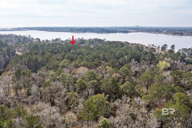 0 River Forest Dr unit 4 369365, Mobile, AL 36605 - photo 3