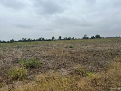 9.5 Mi N Doffing Rd, Mission, TX 78574 - photo 4