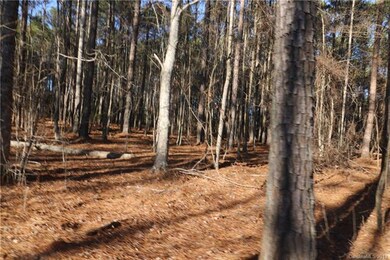 1146 Sutton Spring Rd unit F, York, SC 29745 - photo 4