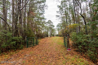 202 Mills Rd, Oriental, NC 28571 - photo 5