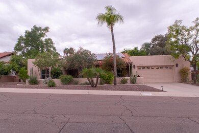 Front Yard 7