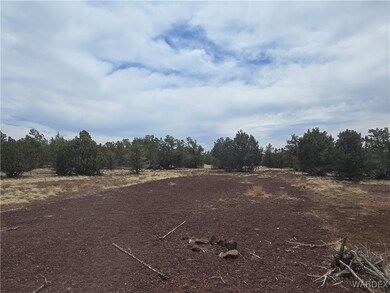 View of local wilderness