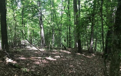 Additional View
