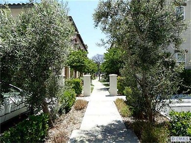 Tree-lined neighborhood walkway