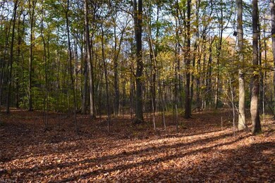 8630 Harris Rd, Lodi, OH 44254 - photo 3