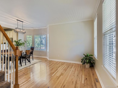 9477 S Hackberry Ln, Highlands Ranch, CO 80129 - photo 5