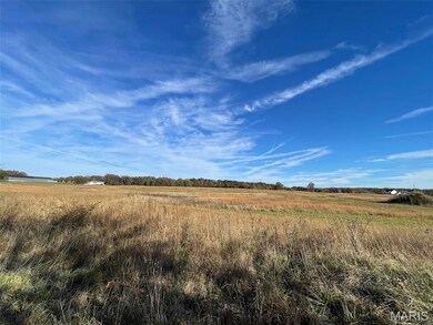 3300 Worley Rd, Farmington, MO 63640 - photo 4