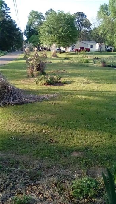 545 Jasmin Ln, Nash, TX 75569 - photo 3