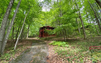 Additional View