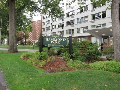 Hammond Park Condominiums unit 305, Chestnut Hill, MA 02467 - photo 2