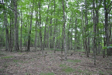 6299 Edray Rd, Cass, WV 24927 - photo 4