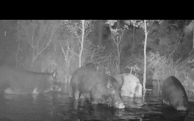 0 SW County Line & Prine unit 122665, Lee, FL 32059 - photo 6