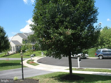 8005 Pink Azalea Ct, Windsor Mill, MD 21244 - photo 7