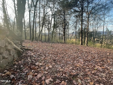 Tbd Hill Station Alley Rd, Gate City, VA 24251 - photo 5