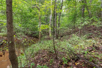 3.06 Acres S Carolina 11, Fair Play, SC 29643 - photo 6