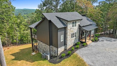 430 Robert Miller Ln, Mineral Bluff, GA 30559 - photo 4