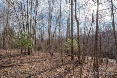 Lot 52 Pinnacle Dr, Elk Park, NC 28622 - photo 5