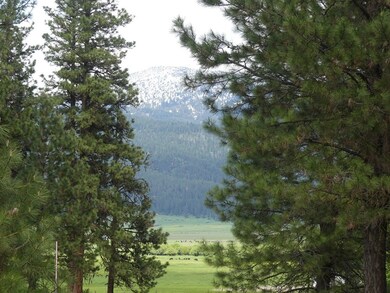 View to mountains