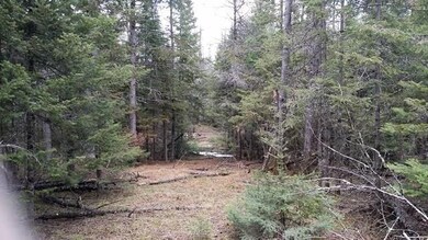 Lot 2 Wood Tick Ln, Tomahawk, WI 54487 - photo 6