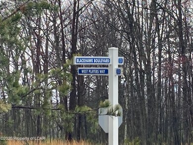 near lot