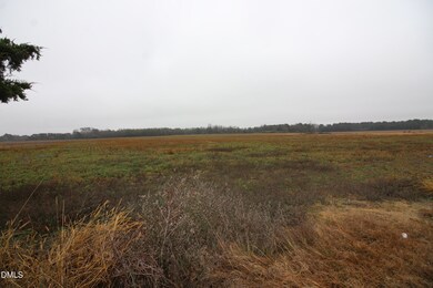 0000 Green Path Rd, Dunn, NC 28334 - photo 4