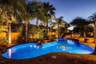 Yucca - 6231 (58)