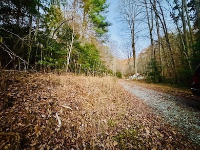 LT 9 Timberline Rd, Murphy, NC 28906 - photo 2