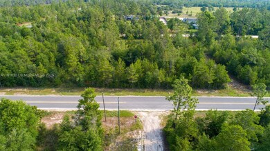 0 NW Lakeview Rd unit A11816327, Altha, FL 32421 - photo 4