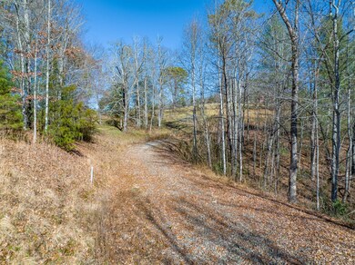 0 Hailey Dr & Belleview Rd unit 26021836, Franklin, NC 28734 - photo 2