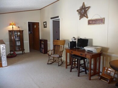 547 Ridge Ave, Dallas, PA 18612 - photo 5