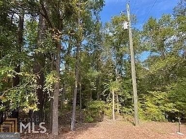 171 Bluegill Rd, Eatonton, GA 31024 - photo 7