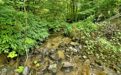 0 52 E, Ellijay, GA 30540 - photo 2