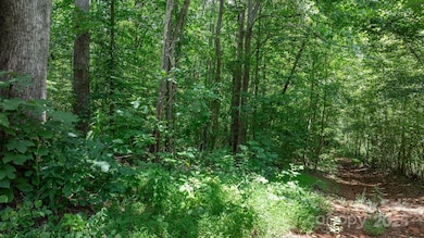 0 Rolling Rd unit CAR4287362, Lincolnton, NC 28092 - photo 3