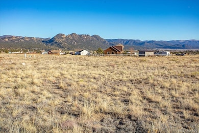 16670 Allen Dr unit 35, Buena Vista, CO 81211 - photo 4