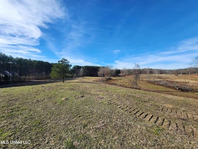 0 Steward Rd unit 4133694, Senatobia, MS 38668 - photo 5