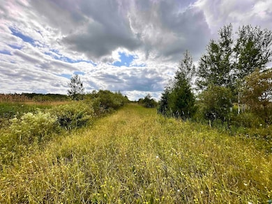 XXX Curry Rd unit Eileen, Eileen, WI 54856 - photo 2