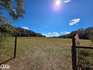 0 Co Rd 10, Samson, AL 36477 - photo 3