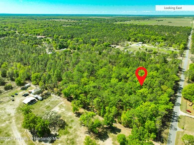 0 SW 95th St unit 2231203, Dunnellon, FL 34431 - photo 7