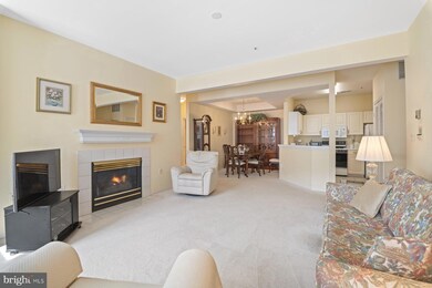 8813 Groffs Mill Dr unit 8813, Owings Mills, MD 21117 - photo 6