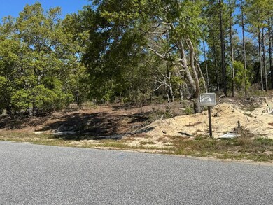 3563 W Eunice St, Dunnellon, FL 34433 - photo 4