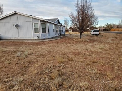 House front yard