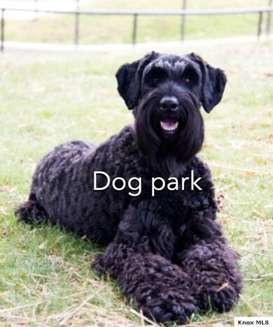 398 Valleyridge Dr, Howard Township, OH 43028 - photo 4