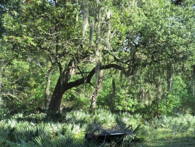 0 County Road 400 unit 62180, Brazoria, TX 77422 - photo 2