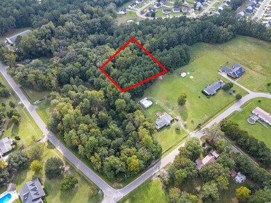 00 West Rd, Conway, SC 29527 - photo 3