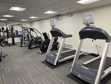 Chapel Hill West unit 325, Framingham, MA 01702 - photo 3