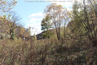 6 Sigman Fork Rd, Liberty, WV 25124 - photo 5