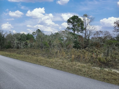 1281 SW Viburnum Rd, Dunnellon, FL 34431 - photo 3